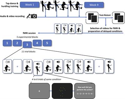 Too Late! Influence of Temporal Delay on the Neural Processing of One’s Own Incidental and Intentional Action-Induced Sounds